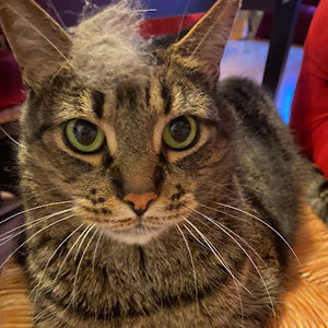 Meet your Posher, Wy